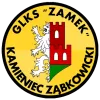ZAMEK KAMIENIEC ZĄBKOWICKI