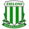 herb Zieloni Mokrzeszów